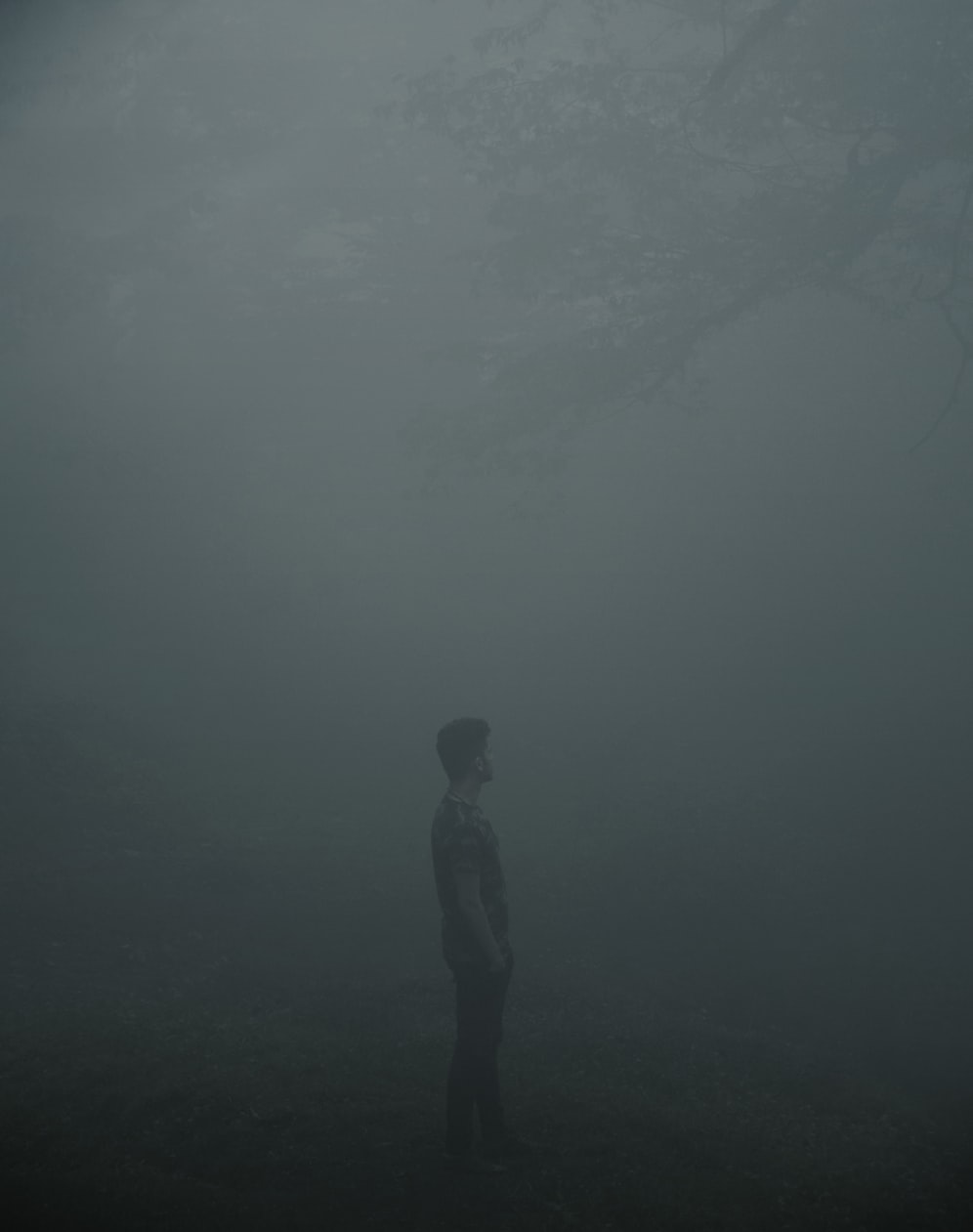 探索自然與欲望交織之美,最新樹林偷腥圖片揭秘