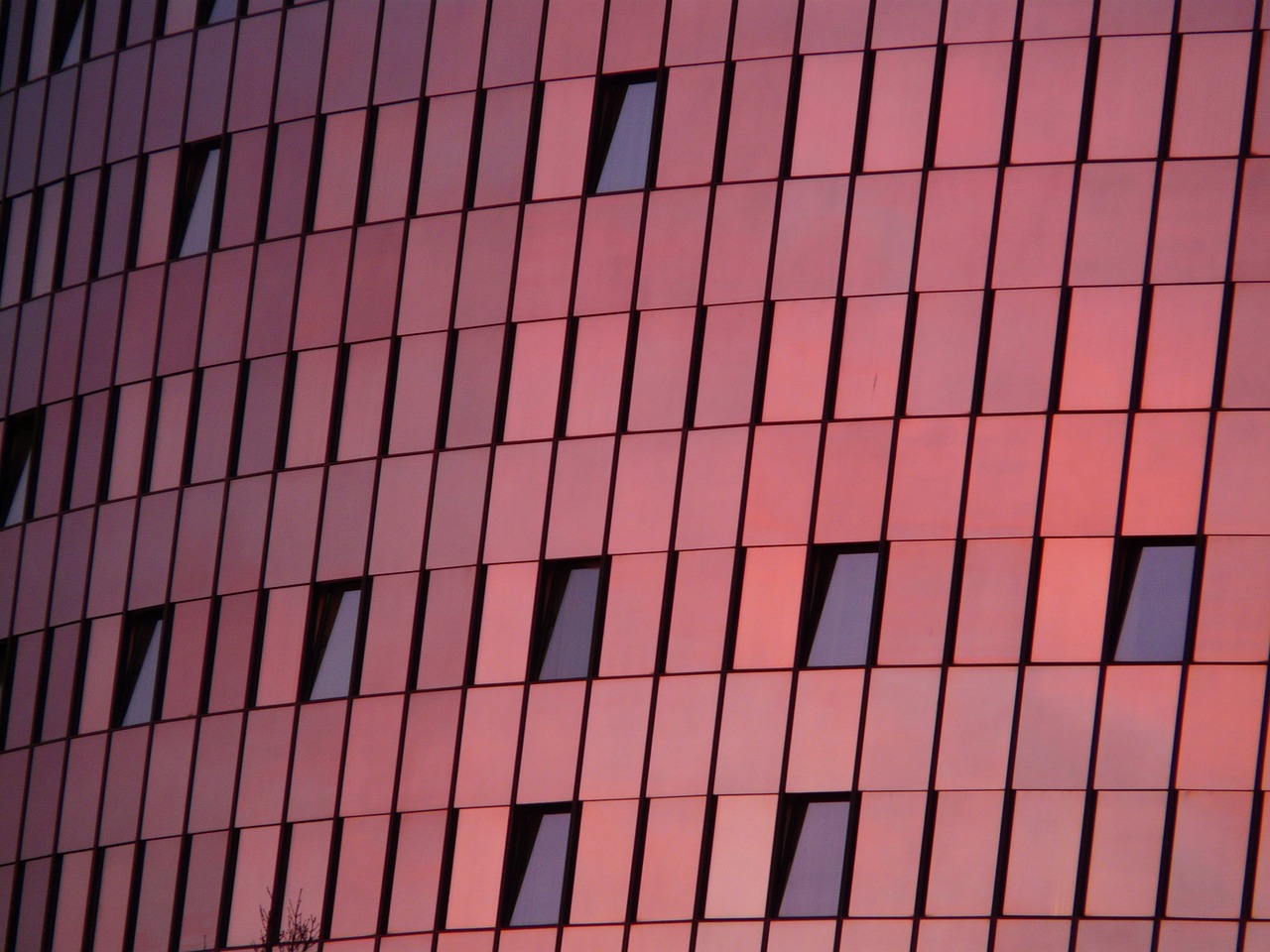 中弘股份最新動態,引領企業創新,探索發展新高度