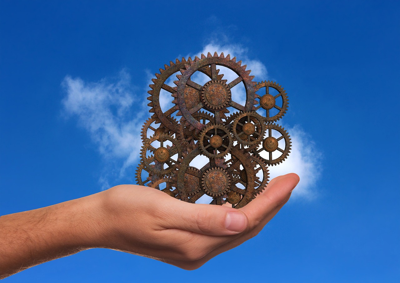 云南女排最新信息深度解析,關(guān)注隊(duì)伍動(dòng)態(tài)與未來(lái)展望