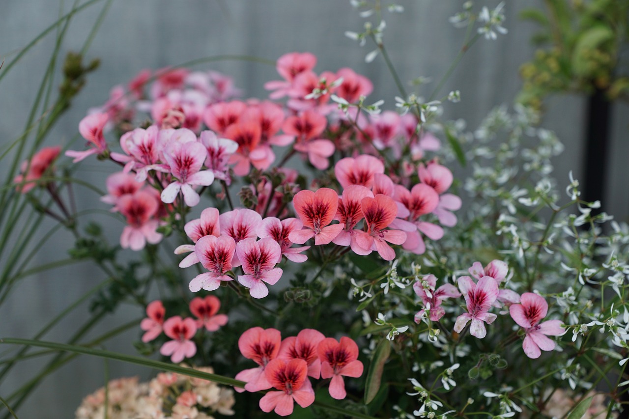 TVB最新動態,引領行業變革,持續創新,刷新觀眾期待的新高度