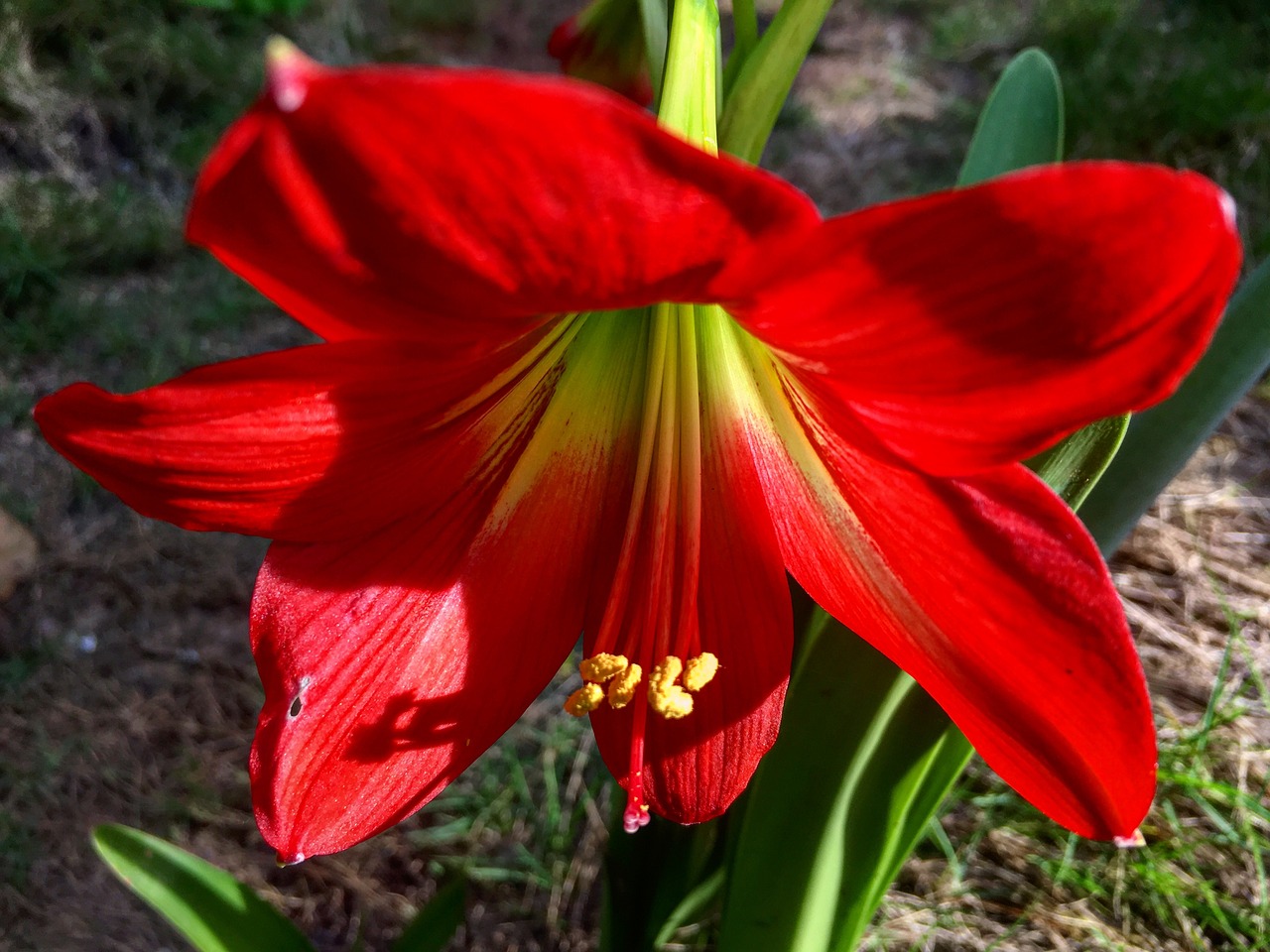 奔邁手機最新動態,科技潮流新里程碑,引領未來發展方向