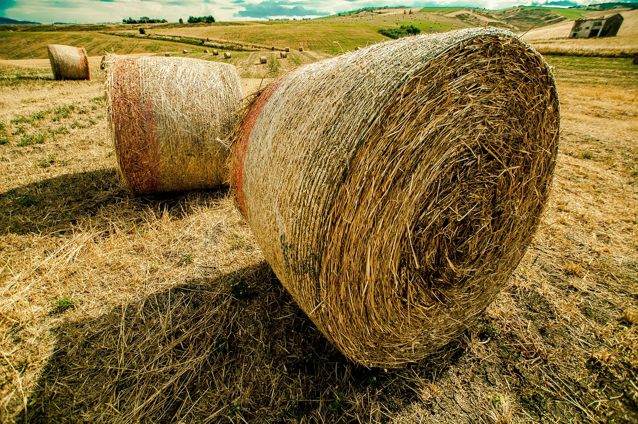 Winner最新動態,引領變革,鑄就輝煌成就