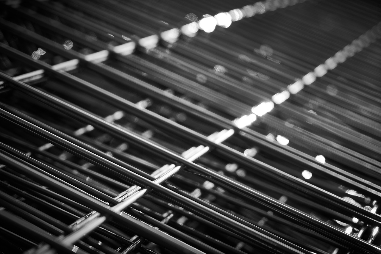 內蒙雞蛋價格最新行情分析與趨勢預測