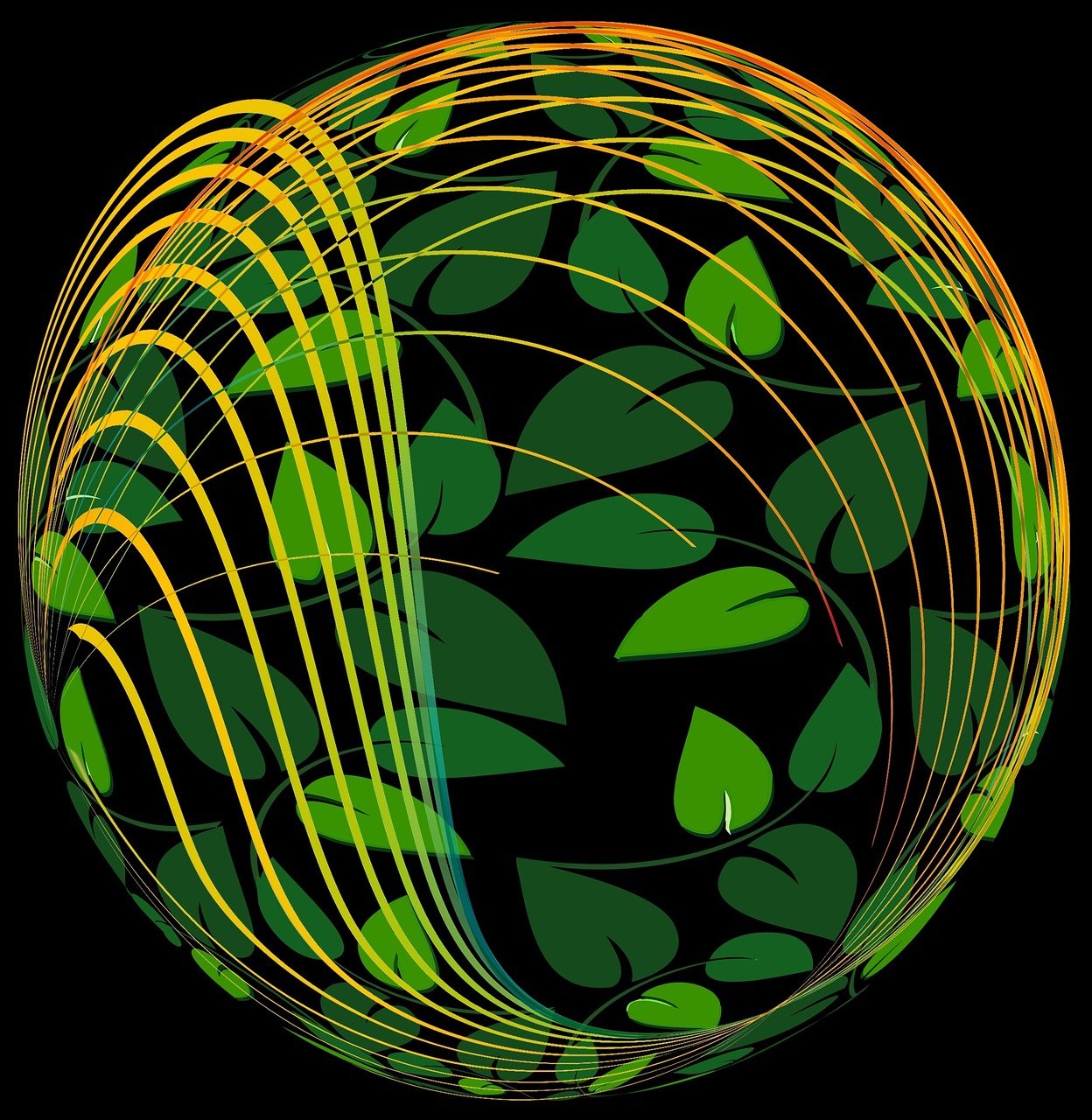 賈躍亭最新視頻揭秘樂視生態(tài)未來展望,展望樂視未來發(fā)展之路