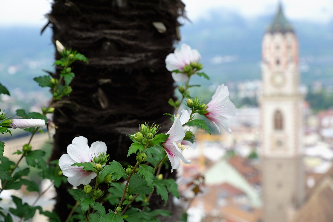 濟南一汽最新動態,創新智能驅動,展望未來汽車智能時代