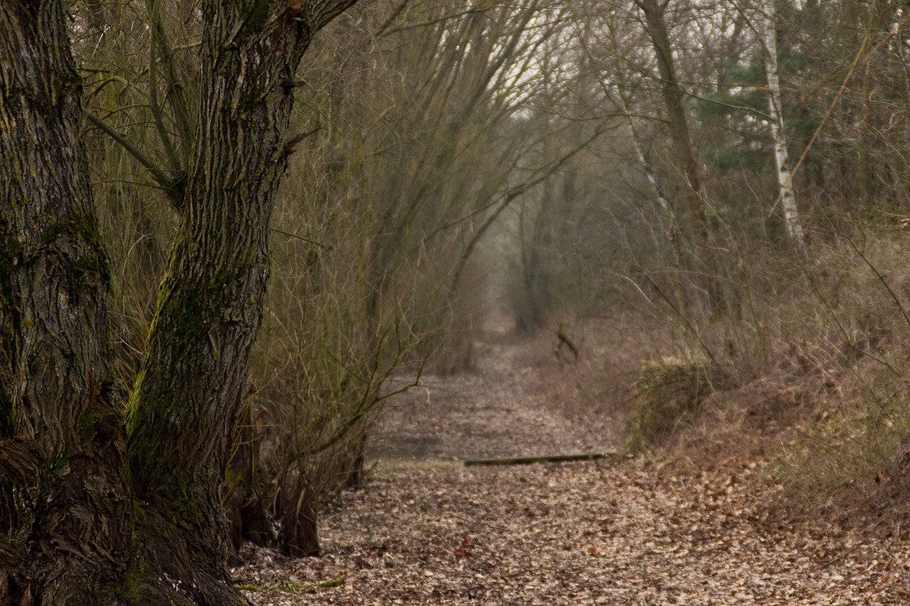 東臺最新樓盤價格概覽及市場動態(tài)分析