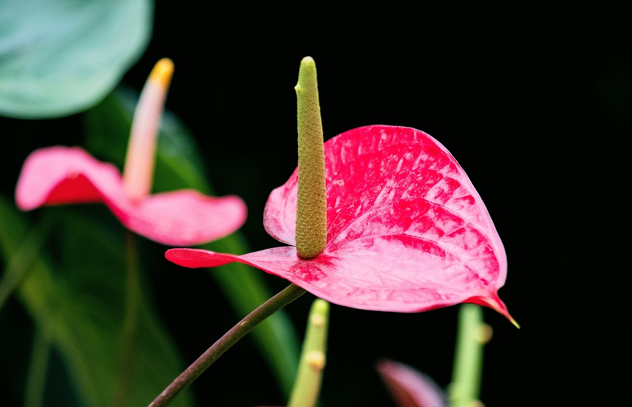手辦最新資訊,行業趨勢與新品發布動態揭秘