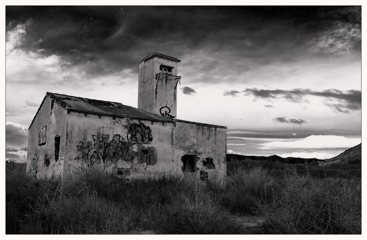 云在指尖最新新聞深度解析與動態報道