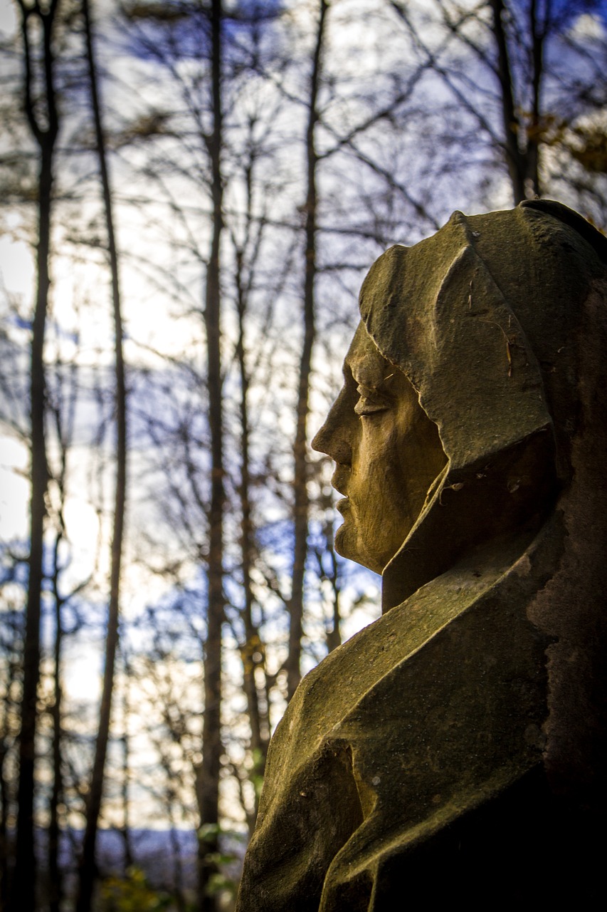 安新在線最新動態,引領新時代的變革與發展