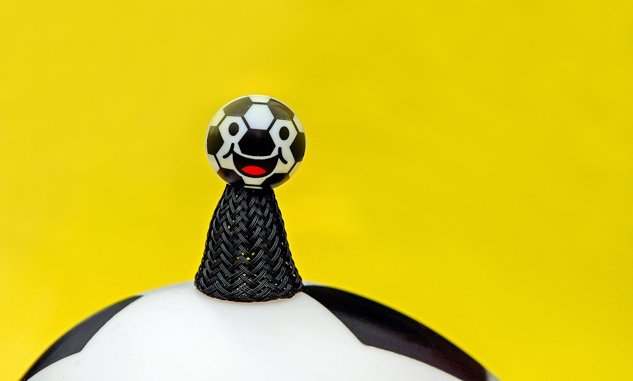 揭陽司機招聘最新動態,行業趨勢與求職指南全解析