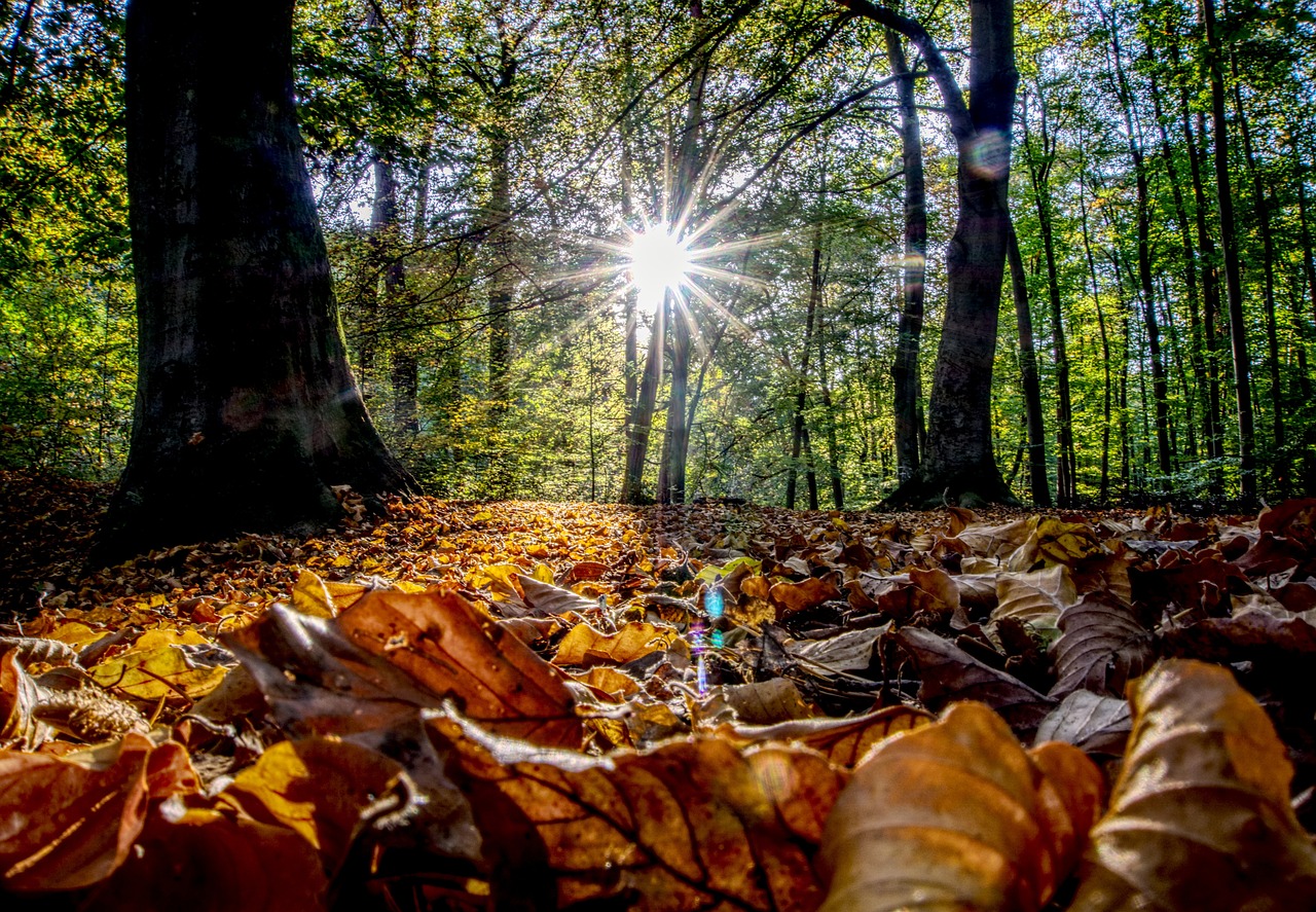 廊坊歸北京,區(qū)域協(xié)同發(fā)展的最新動態(tài)與嶄新篇章