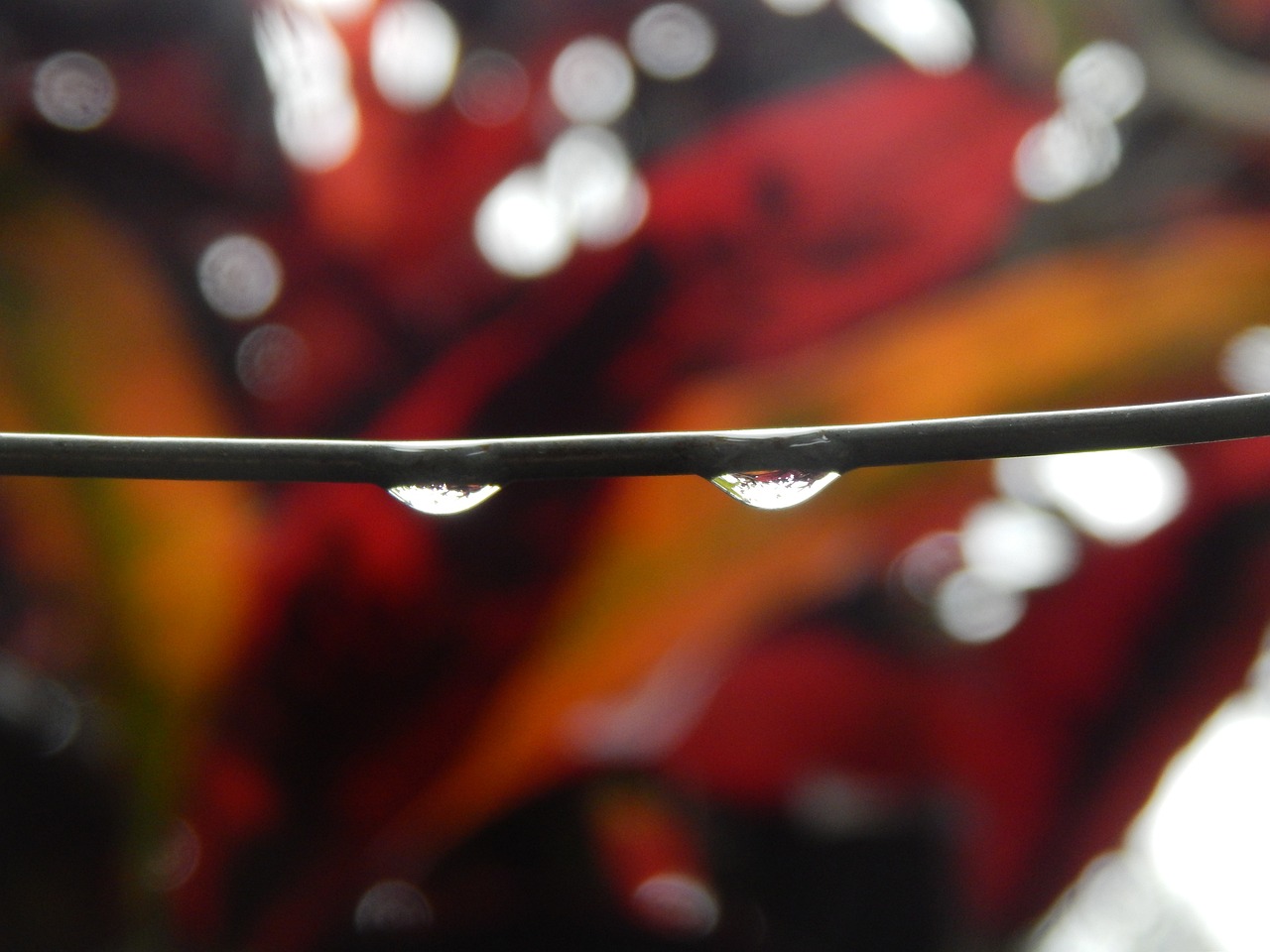 精選集合!2016年最新版閨蜜頭像大盤點