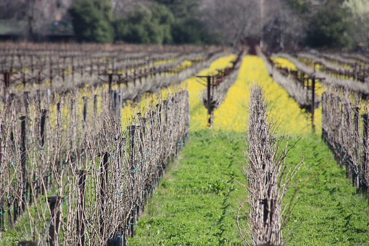 茌平環(huán)保局推動綠色生態(tài)發(fā)展,共建美好家園,最新消息與行動展示