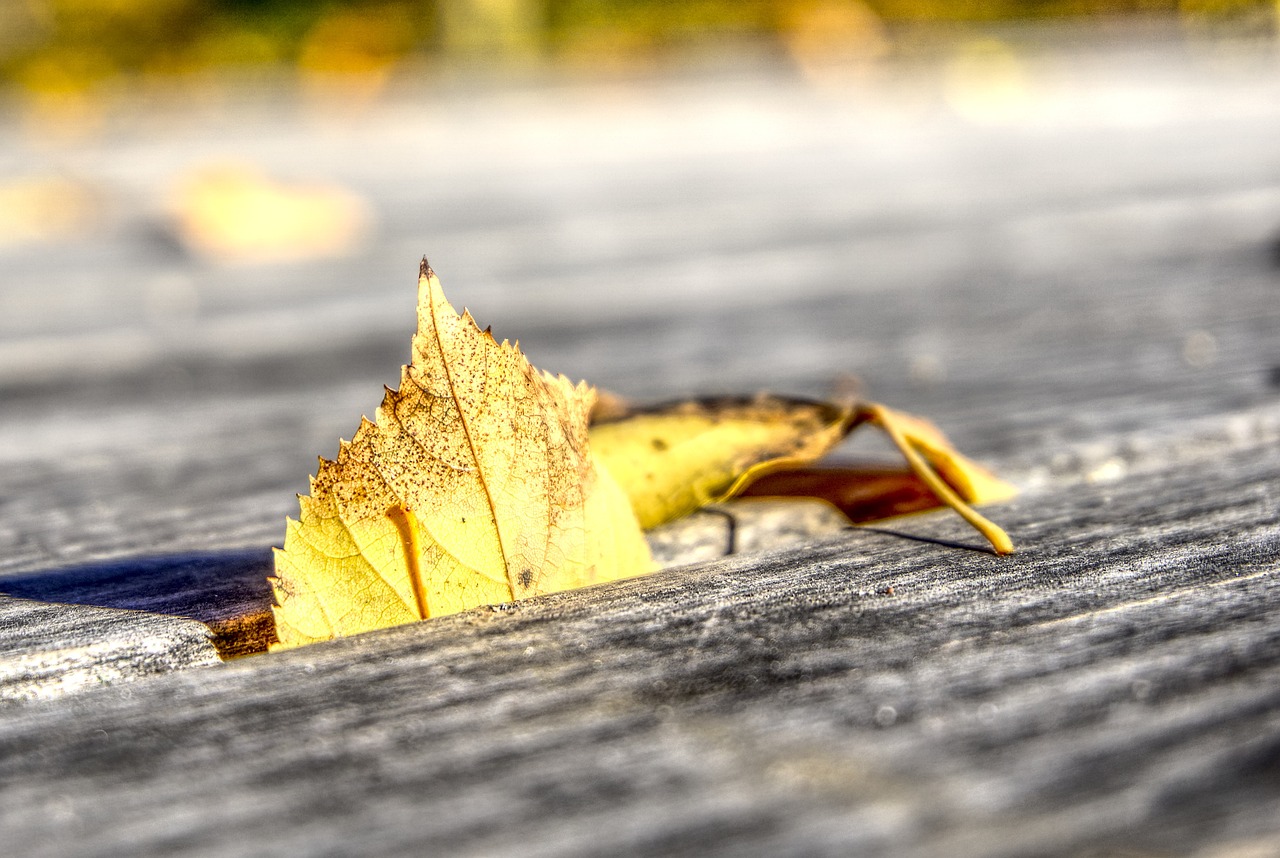 梅州五華最新樓盤價格概覽及最新動態分析