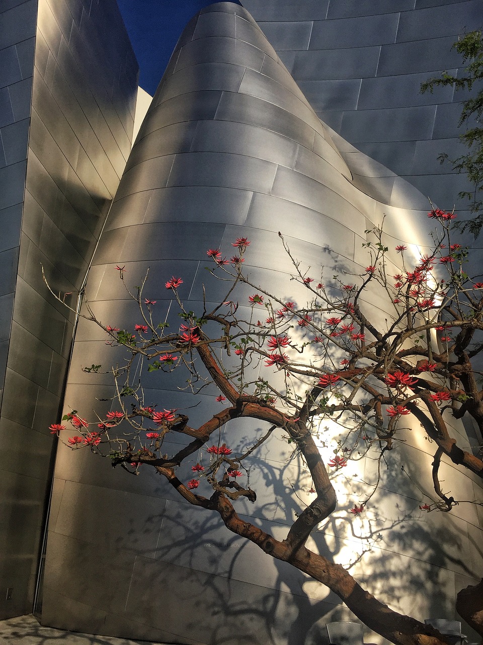 邯鄲漢霸莊最新動態,城市發展脈絡與未來展望