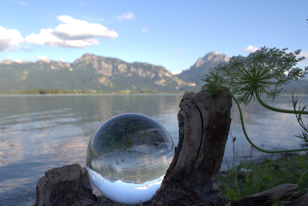 成都江安湖生態(tài)修復(fù)與未來規(guī)劃展望最新消息揭秘