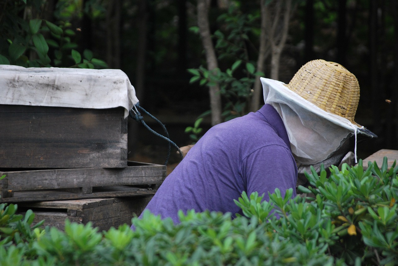 湖南長沙疫情最新動態(tài),全面防控,守護家園安全(2021年最新消息)