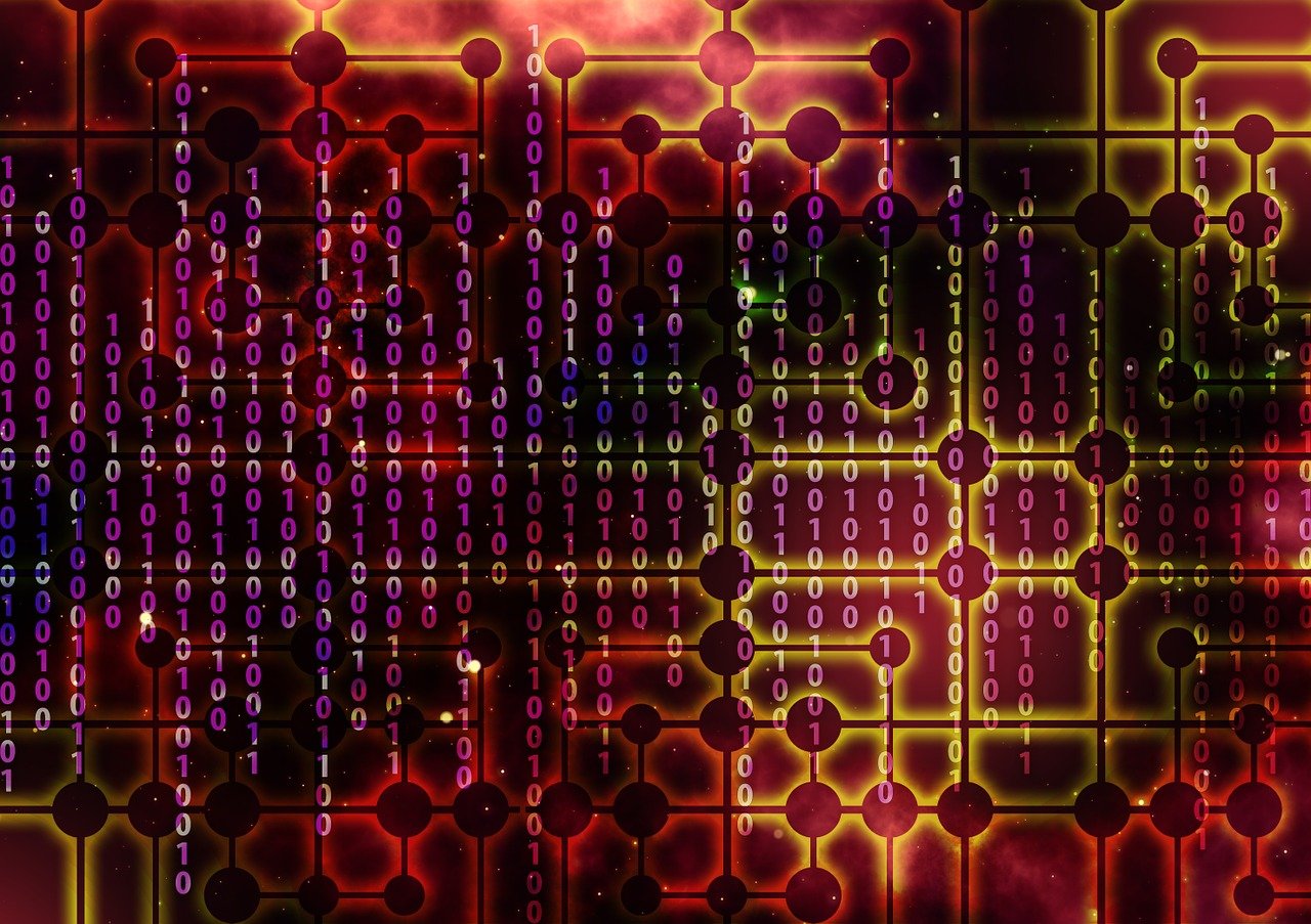 新疆人才市場最新招聘動態深度解析與求職指南