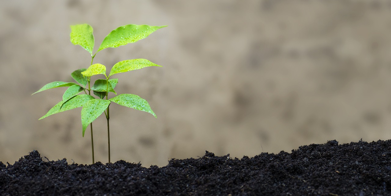 東郊惠澤園最新進展,綠色生態與智能科技的融合典范展示啟動在即!