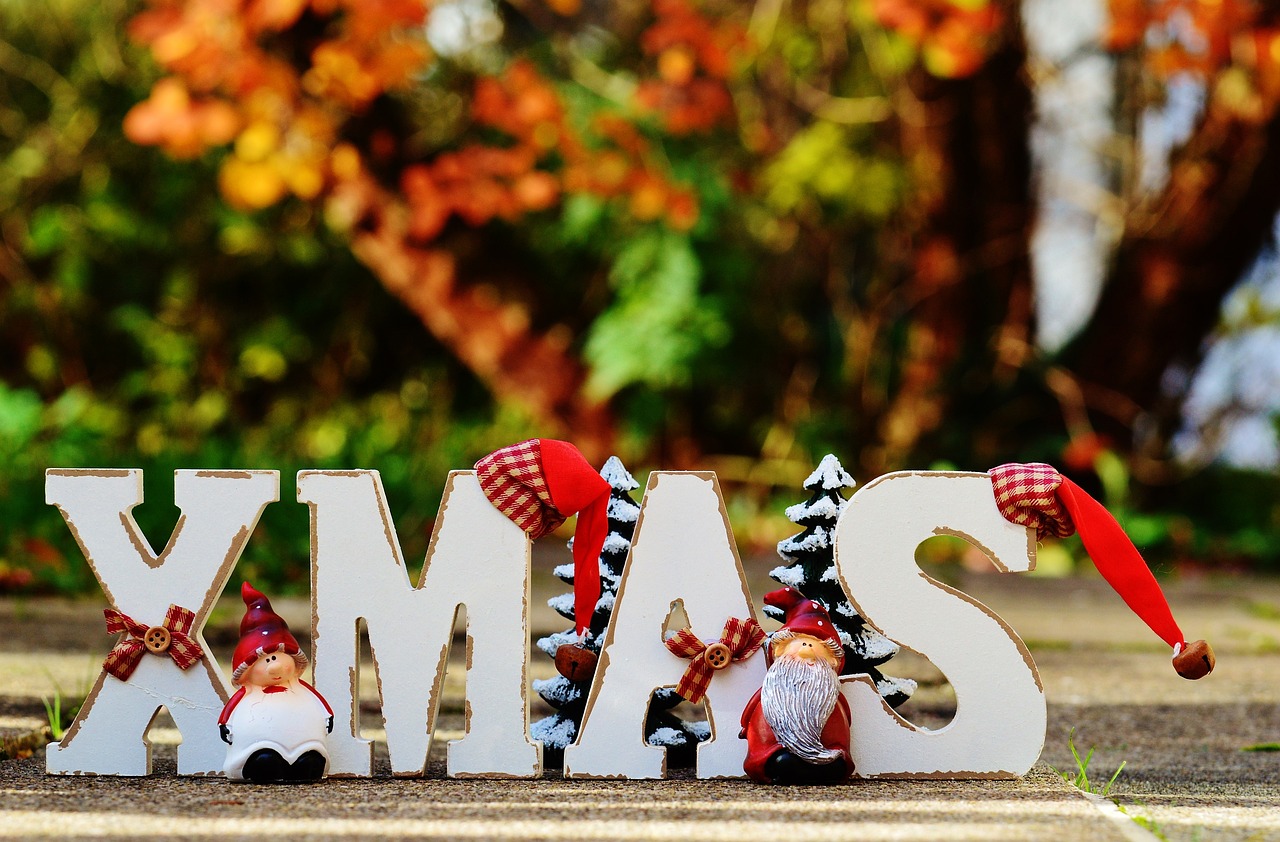 合肥墨荷園,文化與藝術之花的最新綻放