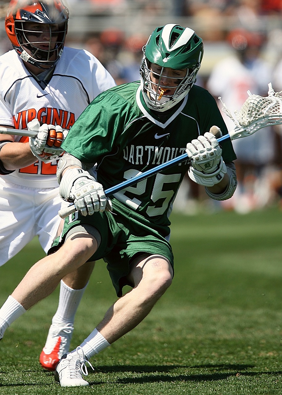 大學城招聘網最新招聘動態及其影響概覽