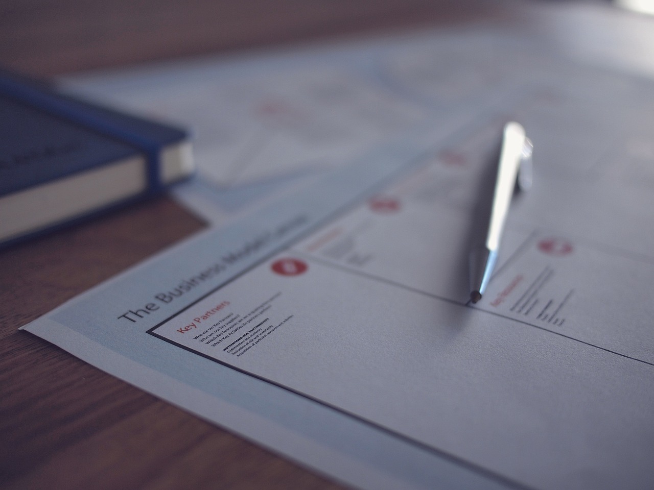 你的愛(ài)如星光最新章節(jié)概覽