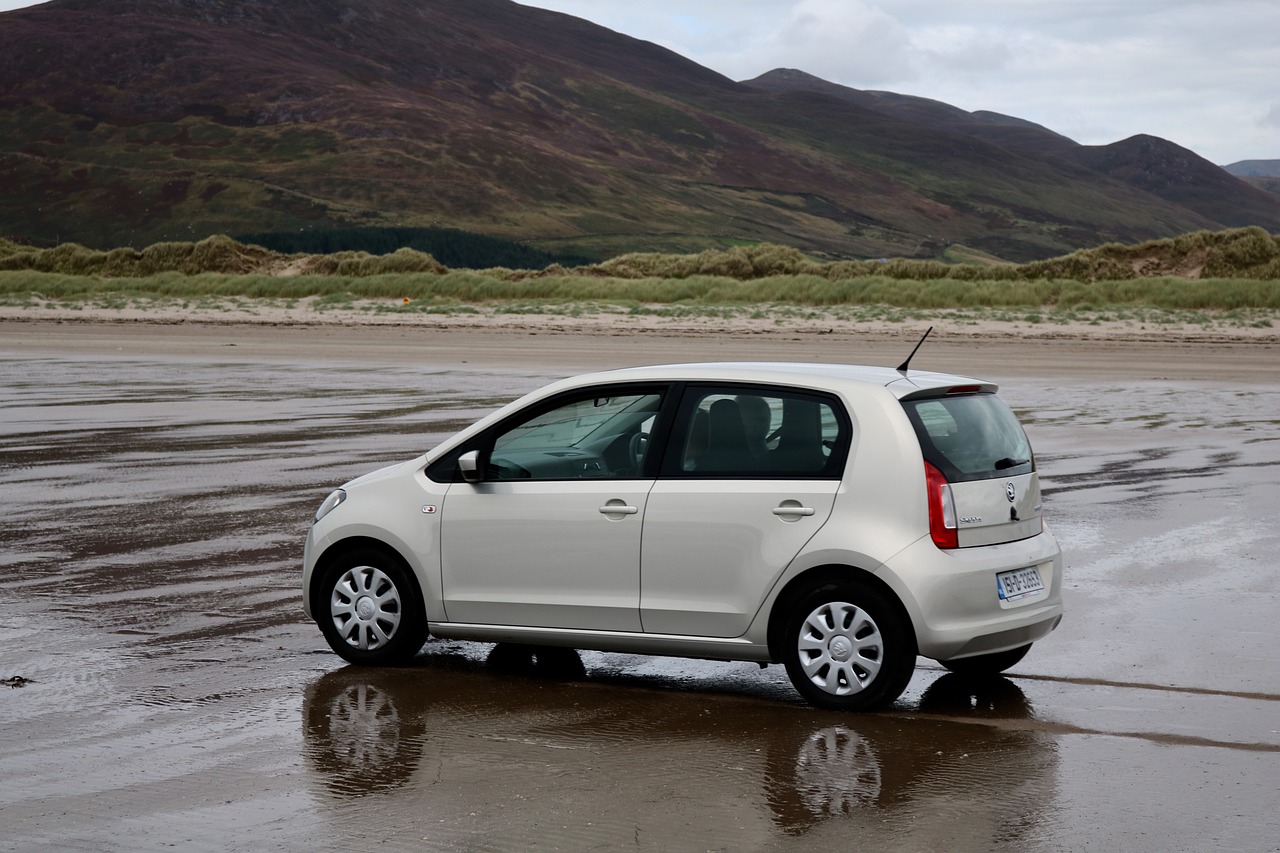 臨渭高速公路最新消息深度解析,進(jìn)展、動(dòng)態(tài)與影響分析