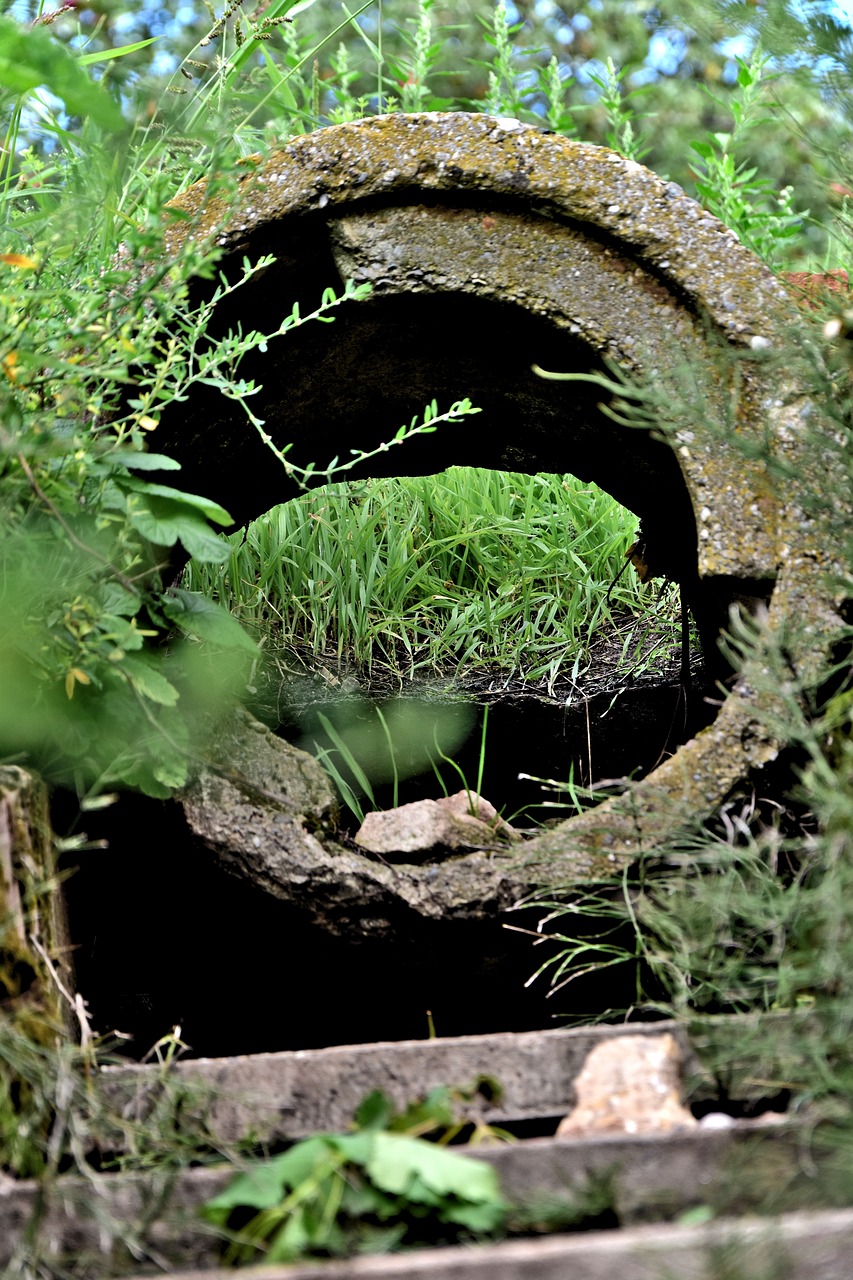 中國聯通混改最新動態,深化改革步伐加快,前景展望引人關注