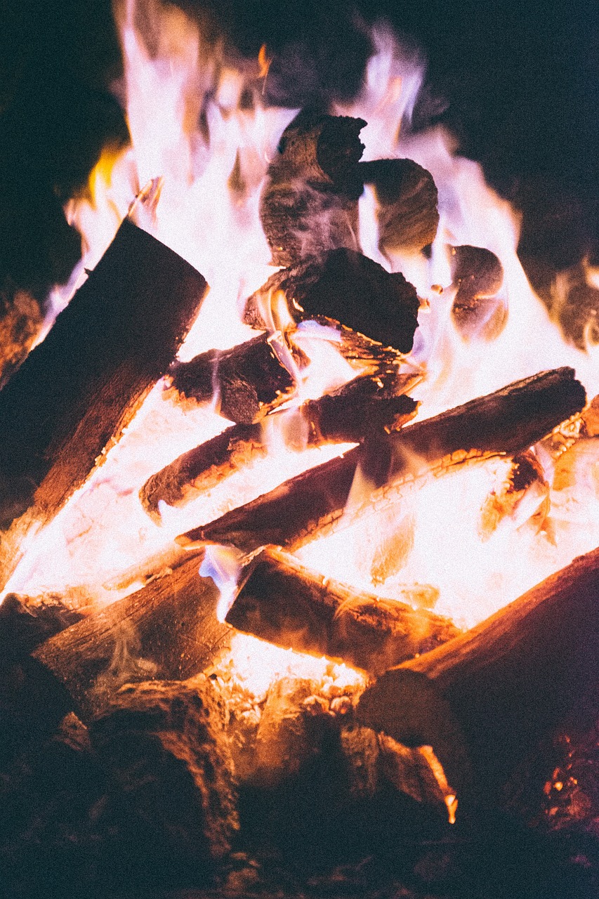 最新噩夢遠征，探險與挑戰的終極之旅