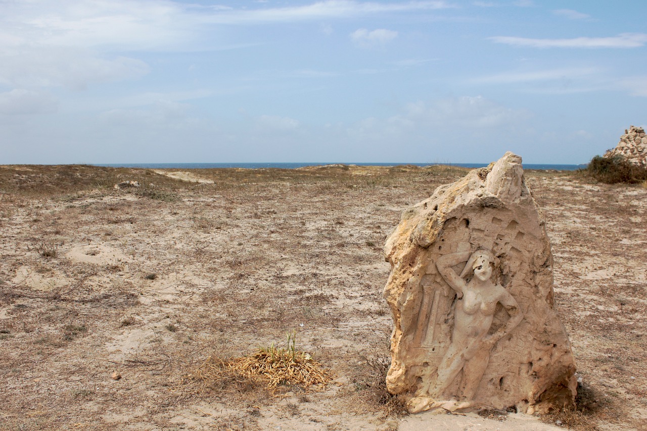 新時代體育文化繁榮的最新動態(tài)探索