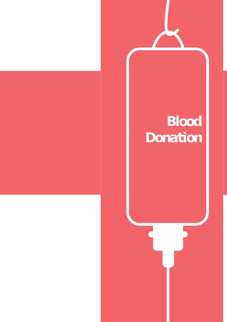 丹參最新價格動態(tài)，市場影響分析與趨勢預(yù)測