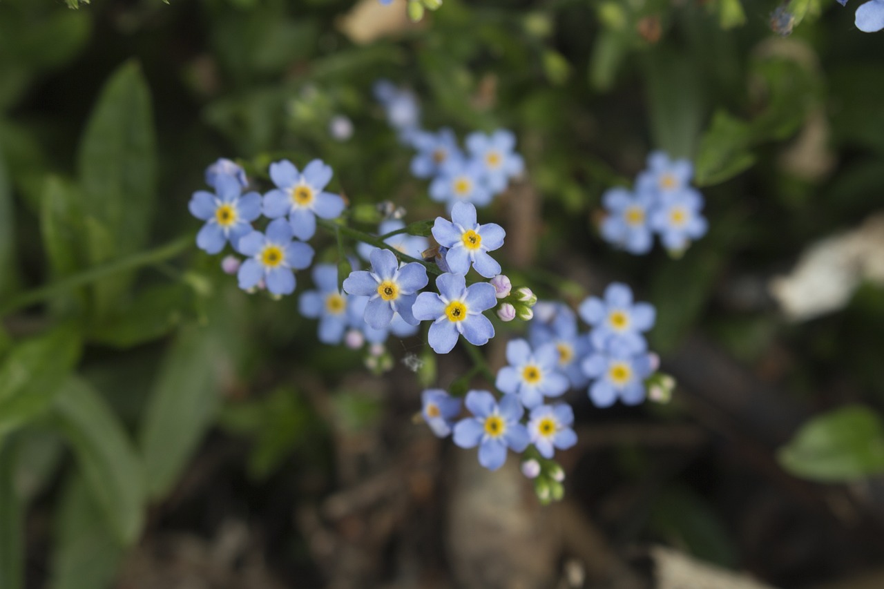 專利官費最新動態,影響及最新發展概述