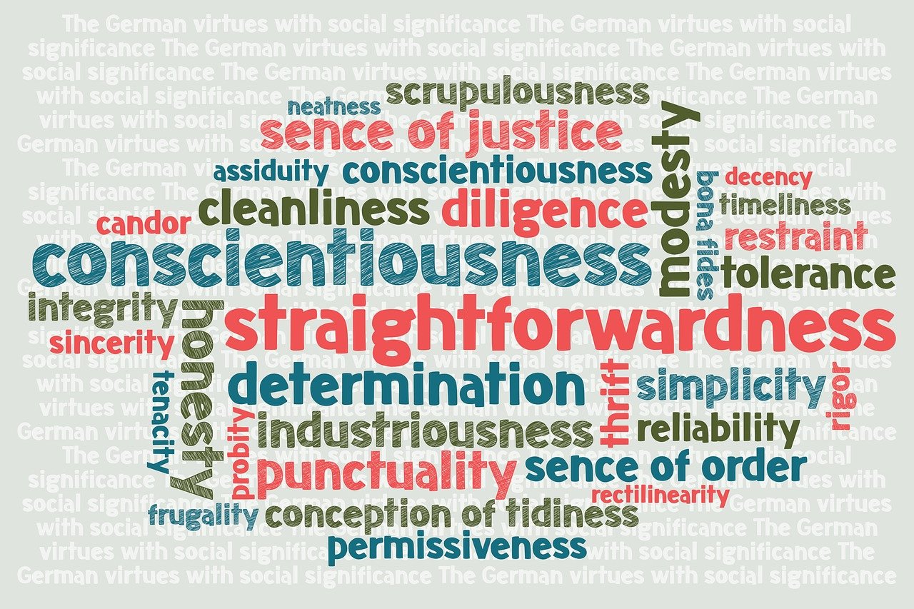 秋日最新缺德現象,多維度解讀社會影響