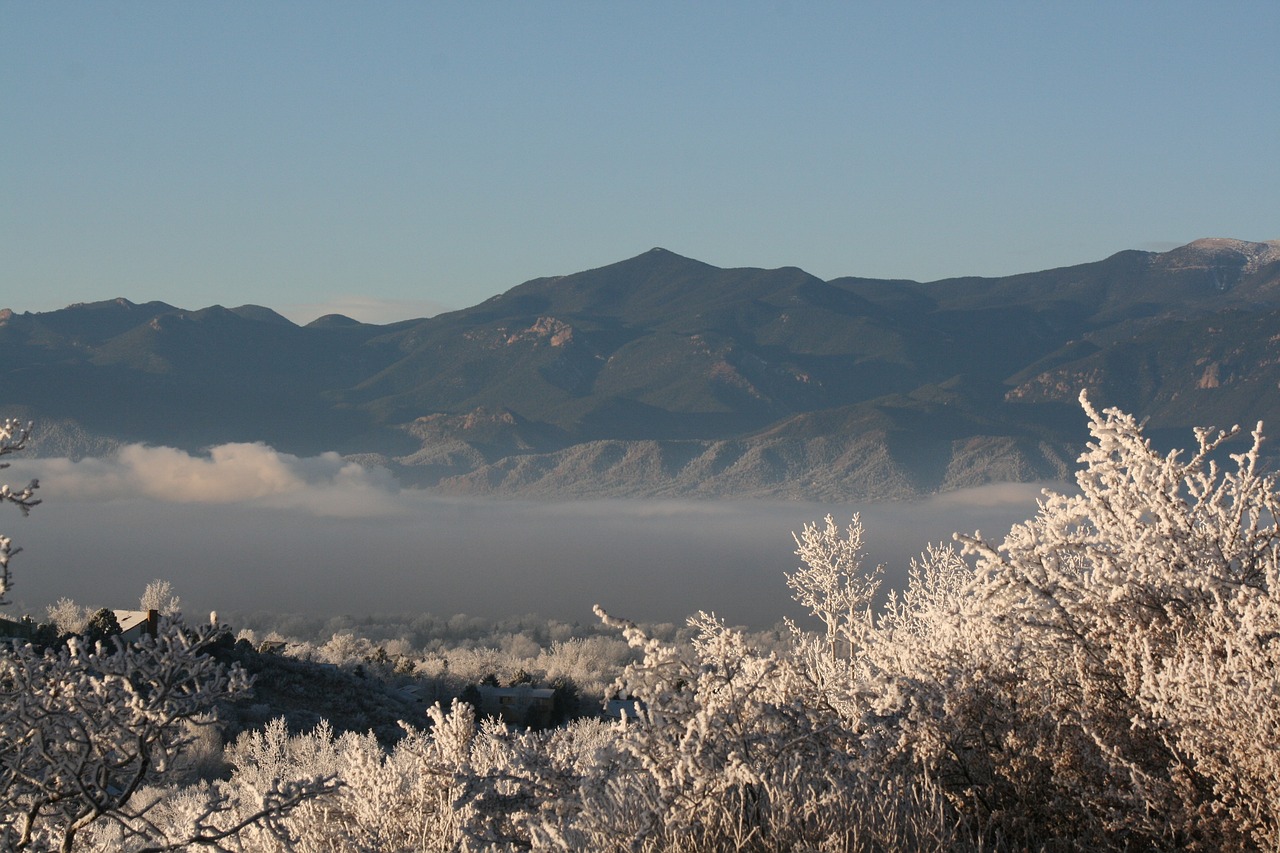 最新財政新聞揭秘,國家經濟走向新動態速遞