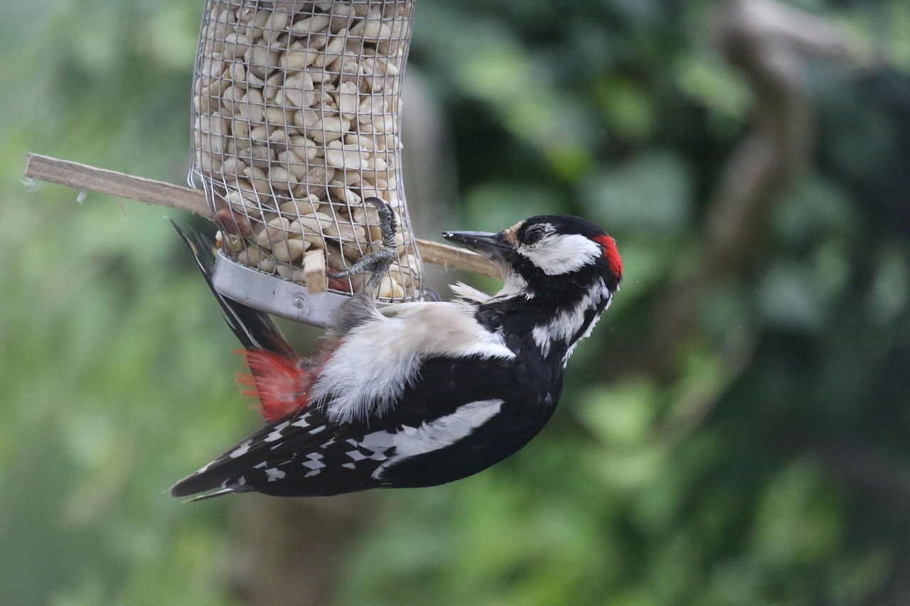 全球油品最新價格動態及其對市場影響概覽