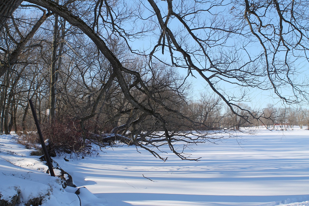 全國多地降雪來襲,氣象部門發(fā)出預(yù)警,最新下雪新聞匯總