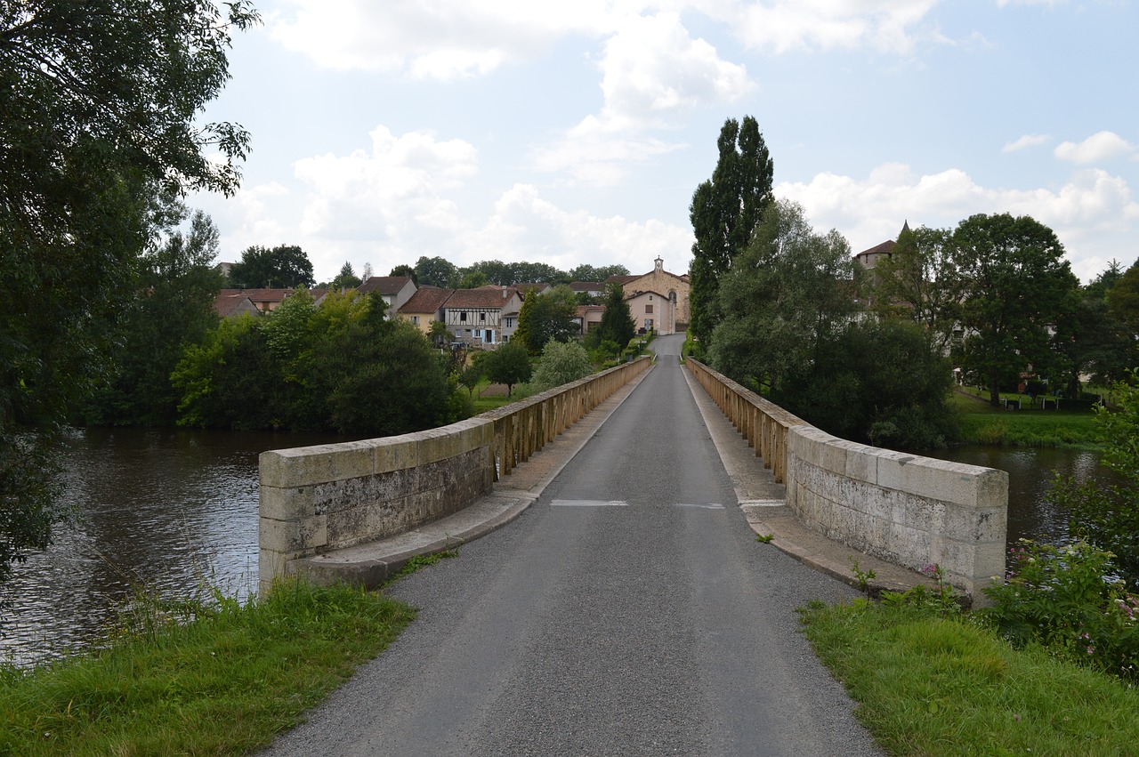 沉香最新行情概覽,市場走勢、未來展望與實時動態分析