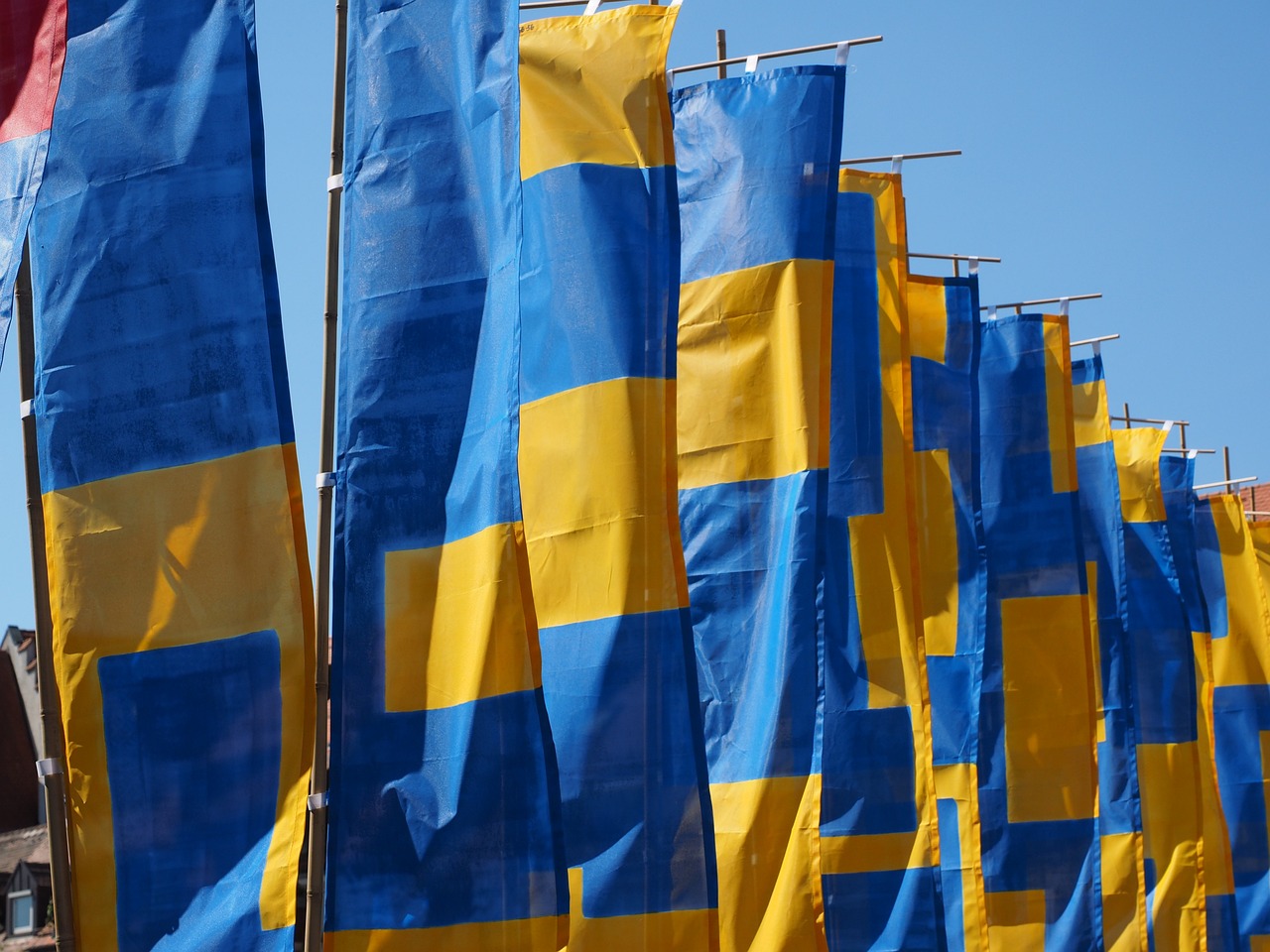 璀璨娛樂圈最新動態,明星資訊一網打盡