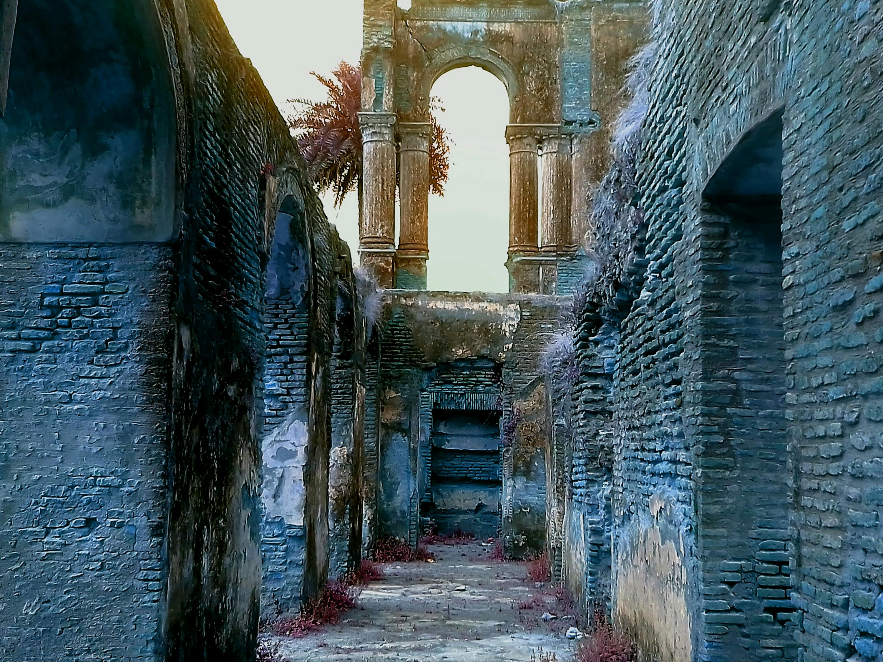 探索千年文明的魅力,最新印度游記深度探索