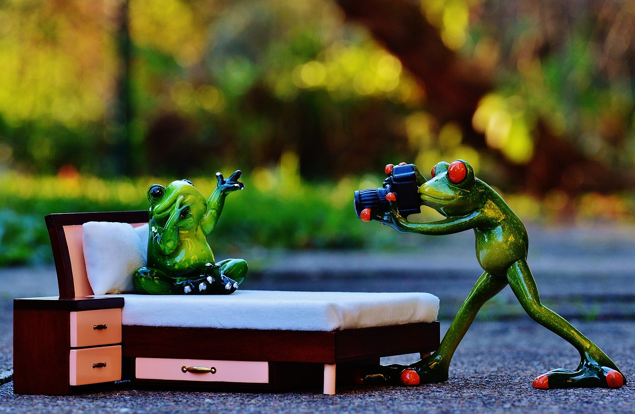 最新斗圖圖片,活力與樂趣的無限世界展現