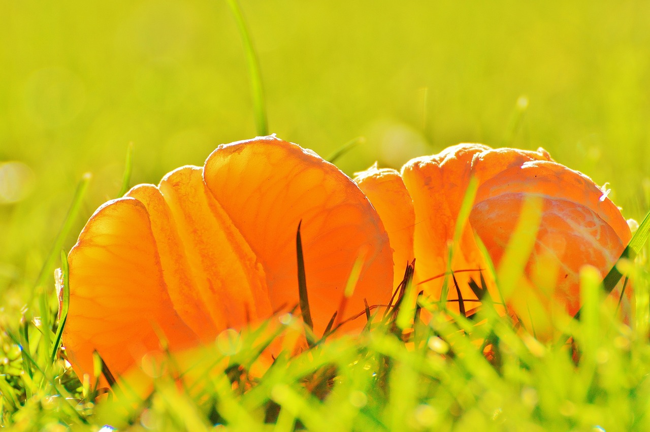 金梓博客最新動態(tài)與深度洞察,探索未來無限潛能