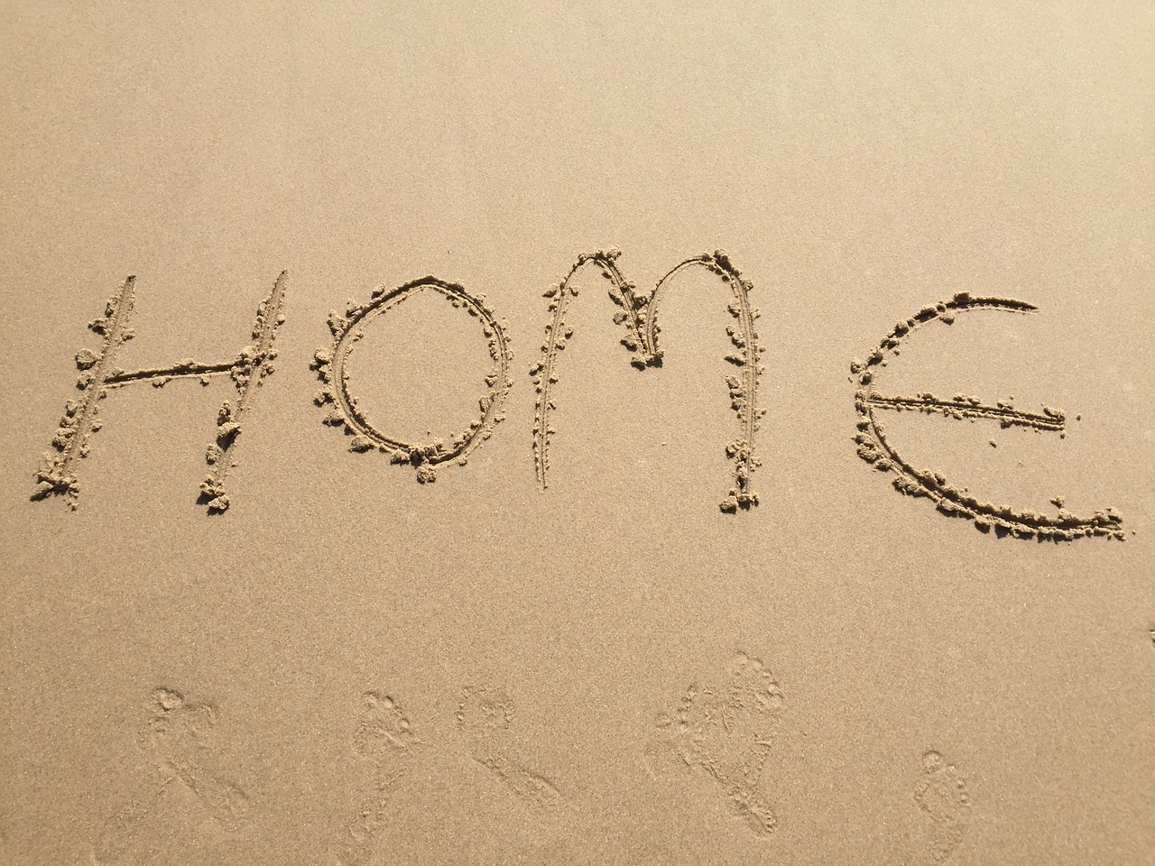 懷仁市最新新聞動態(tài)報道速遞