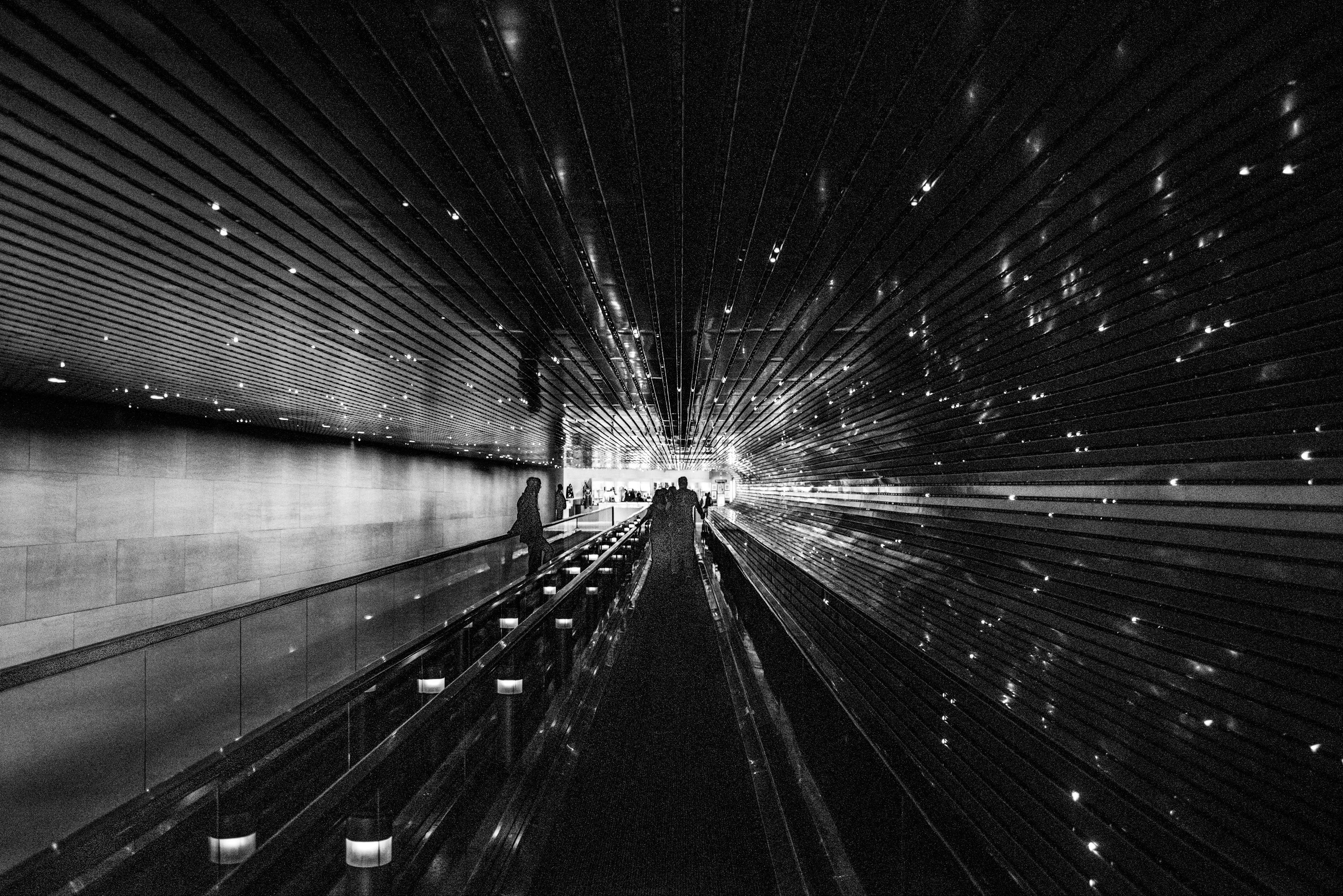 D市界新篇章,繁榮活力展望未來(lái)