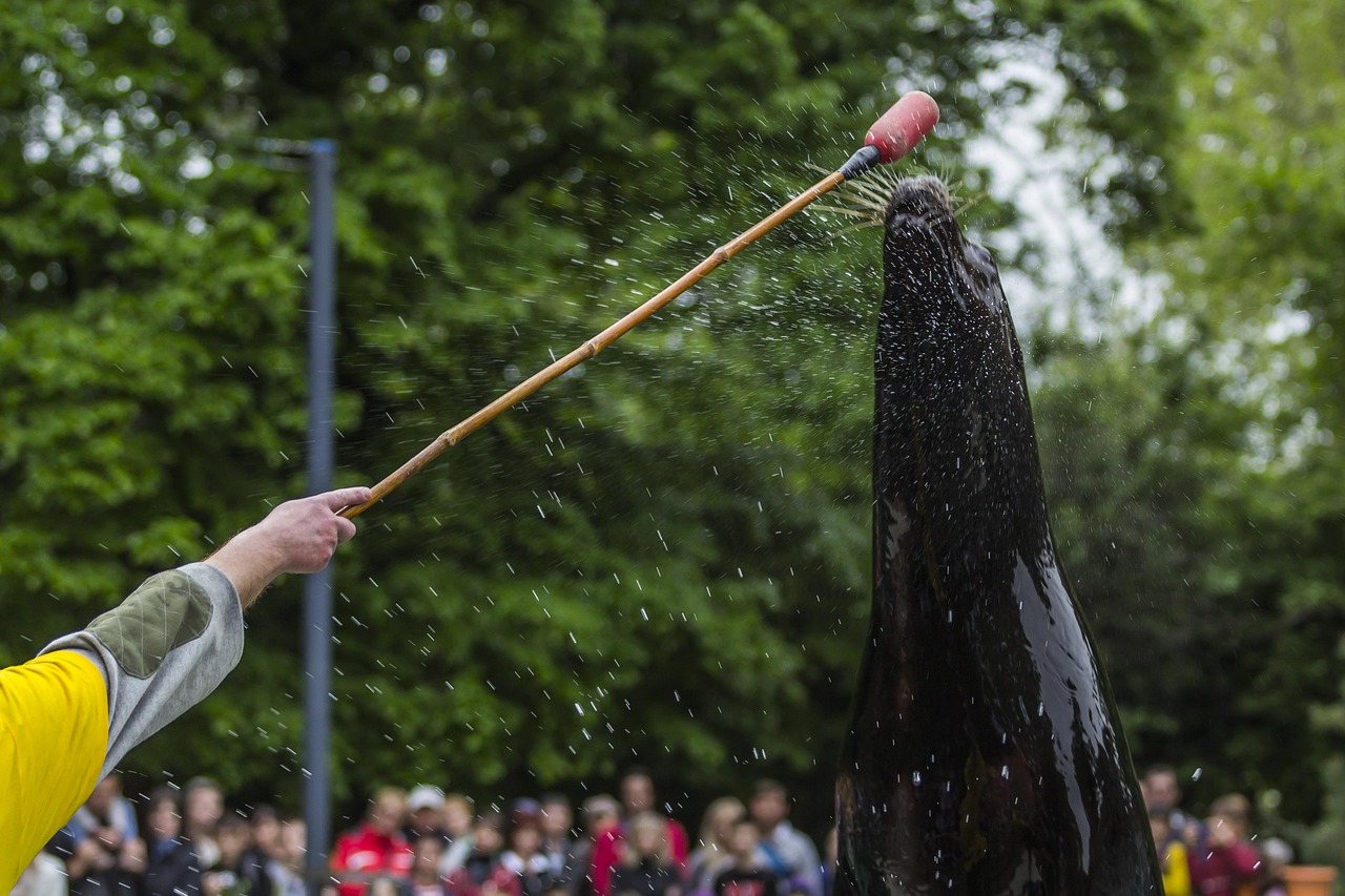 技藝與樂趣的完美結合,最新彈弓射魚視頻欣賞