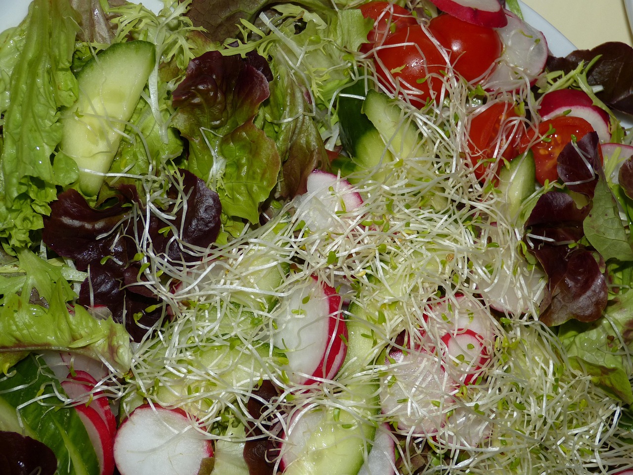 龍海最新房產(chǎn)動(dòng)態(tài)，理想投資置業(yè)之選