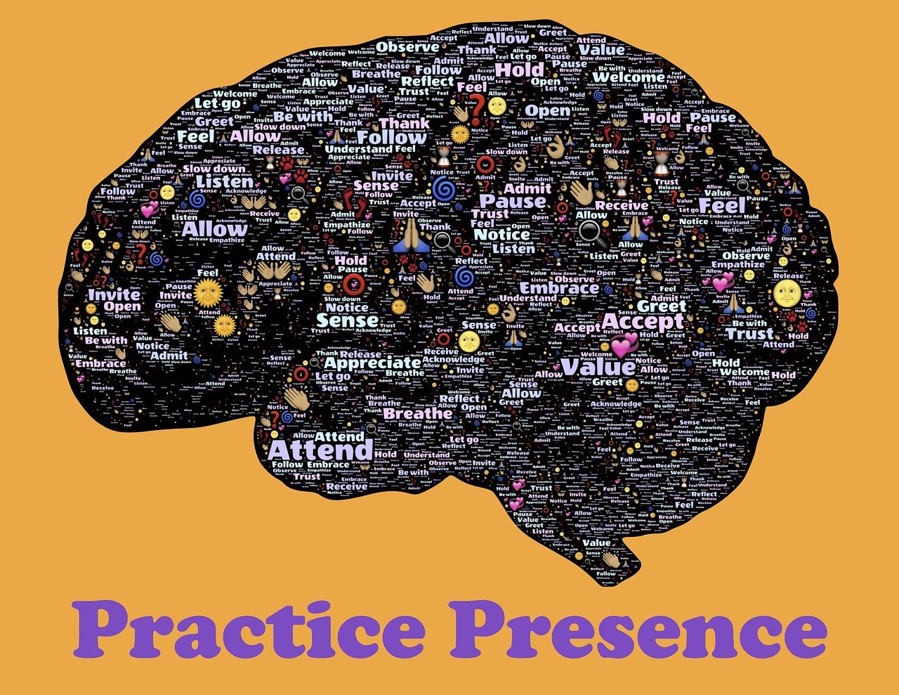 探索崖柏的神秘魅力,最新崖柏視頻欣賞