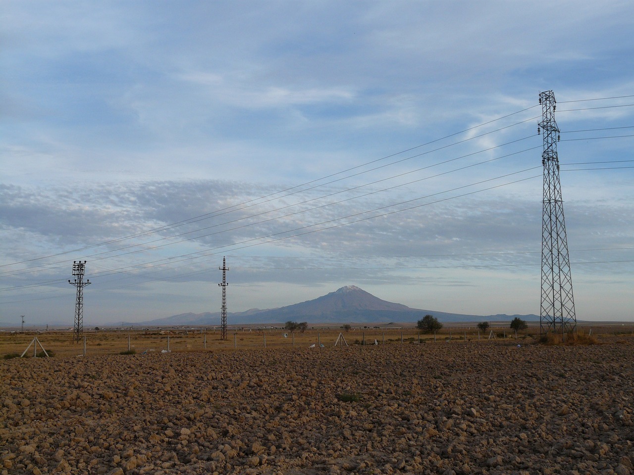 郭力夫最新動態與成就概覽