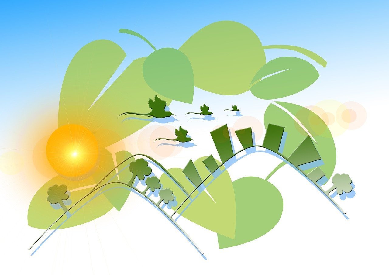 螞蟻森林最新攻略揭秘,探索綠色能量,助力環保行動!